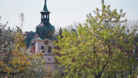 a church spire of the brevnov monastery towers above the blooming spring orchard