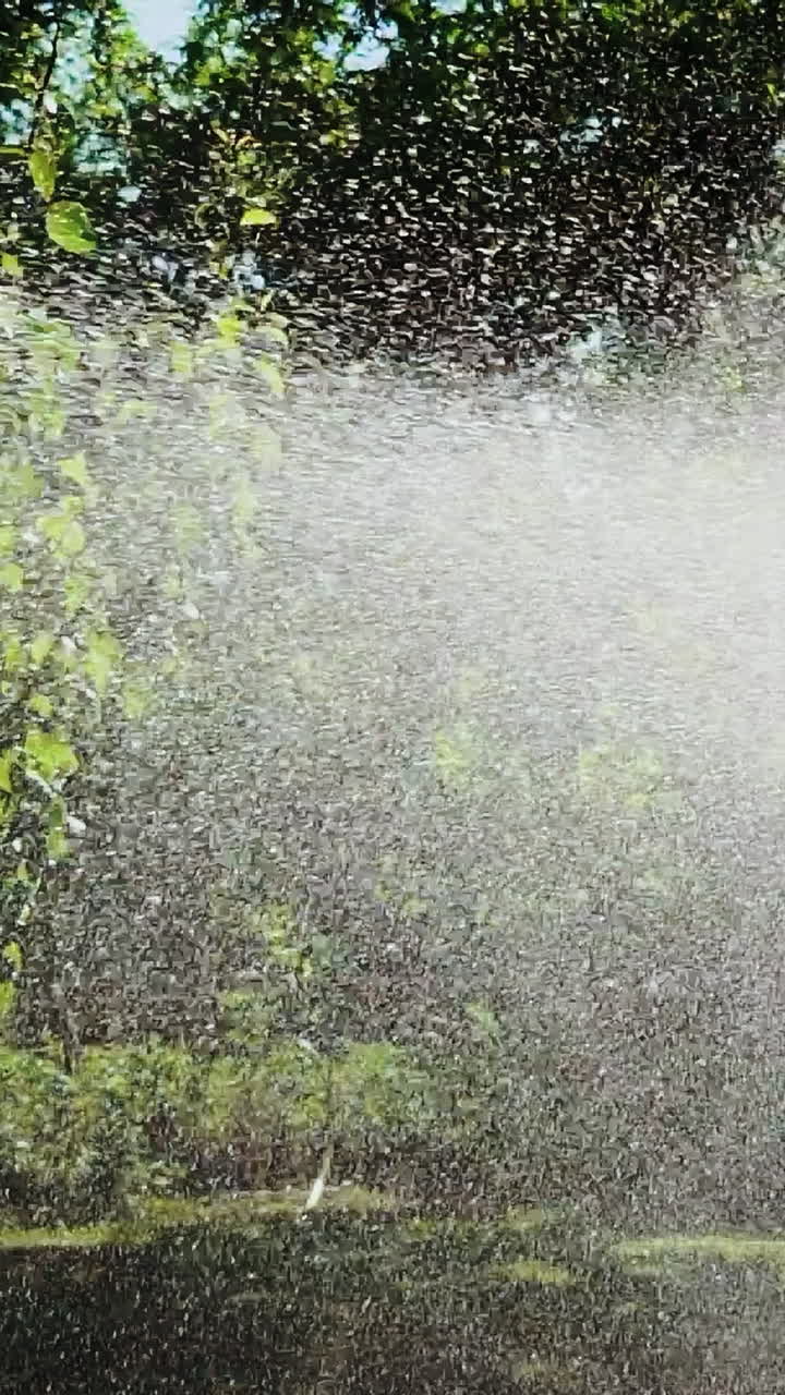 Modern device of irrigation garden. Lawn water sprinkler spraying water over lawn green fresh grass in garden. Vertical video
