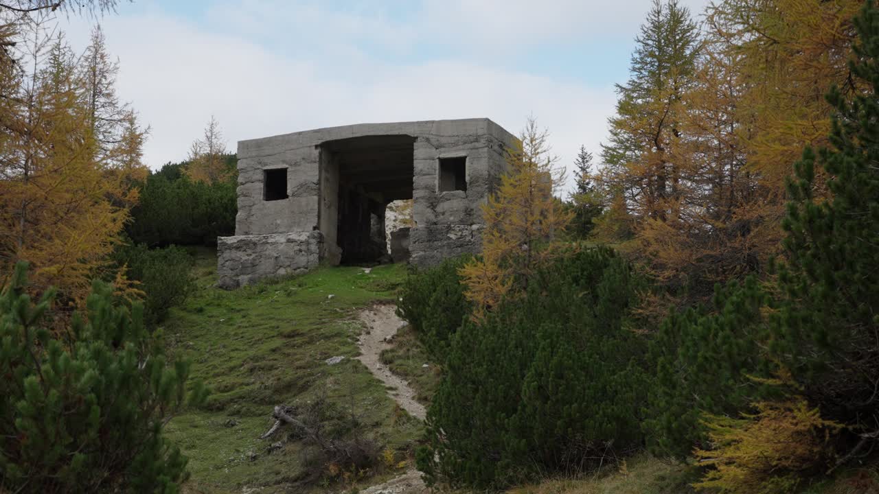 Refugio de hormigón abandonado entre árboles otoñales en el Paso Vrsic, Eslovenia. Plano estático ascendente que establece la escena, vestigio de guerra.