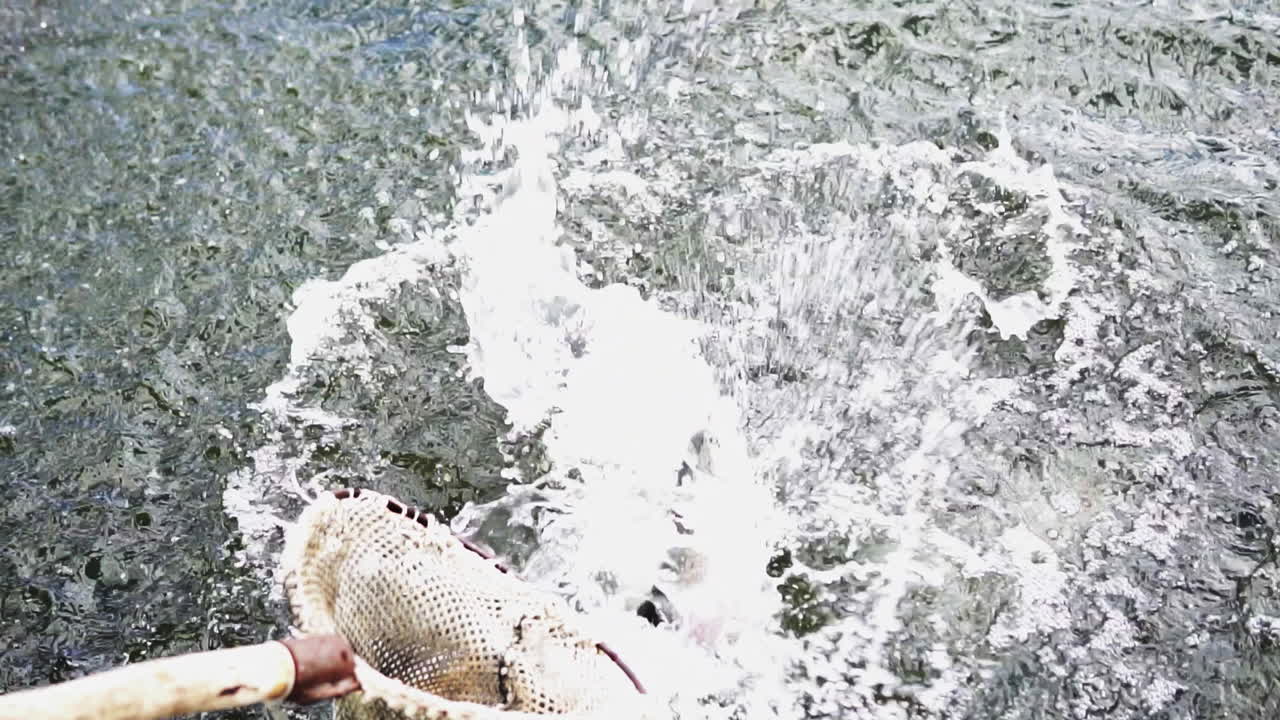 강에서 시하는 것