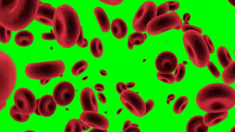 Digital-generated-red-blood-cells-against-green-background