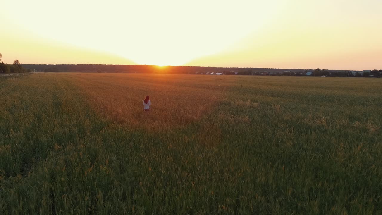 niña caminando en un campo de trigo al atardecer