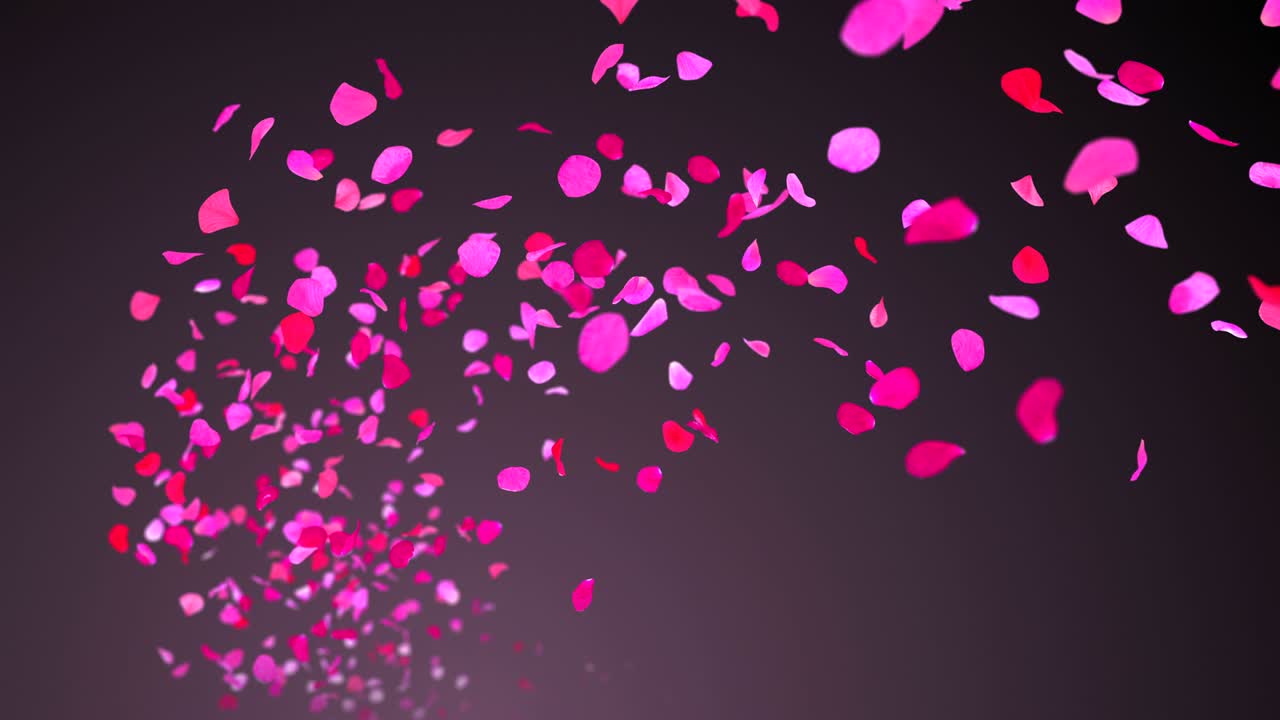 4k: 보라색 배경에 날아다니는 장미 잎자루.