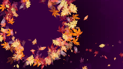 round frame of autumn yellow fallen leaves on purple dark festive background. leaf of tree whirls in wind. looped animation.