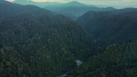 moody vista aérea cinematográfica del paisaje de la selva tropical de bukit lawang al amanecer en el parque nacional gunung leuser, el patrimonio de la selva tropical de sumatra, indonesia