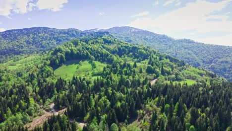 Drone-Footage-Of-Forest-And-Field-On-Mountain-Slopes
