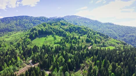 drone footage of forest and field on mountain slopes