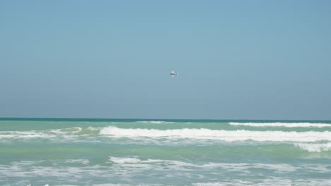 propeller plane flying near the beach