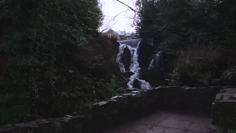 Mirando-Hacia-Arriba-Para-Ver-La-Cascada-Del-Bosque