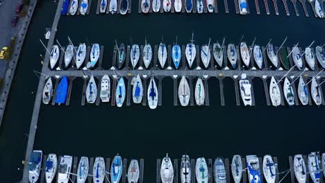 sail boats in a marina on a cloudy day with the city