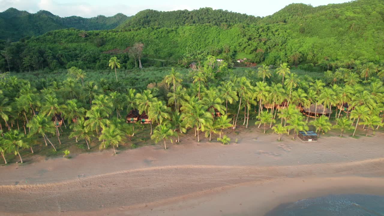 Tropical landscape of a secluded beach with palm trees and jungle