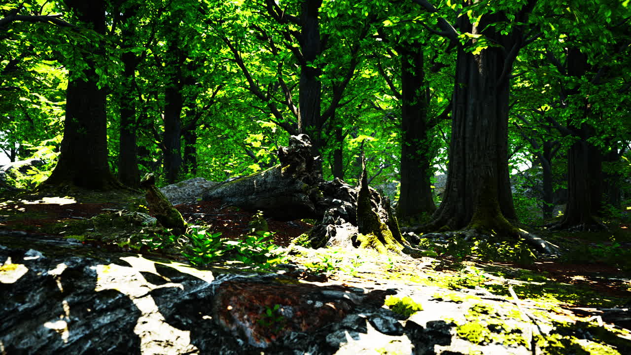 줄기 와 돌 은 초록색 모스 로  ⁇ 여 있다