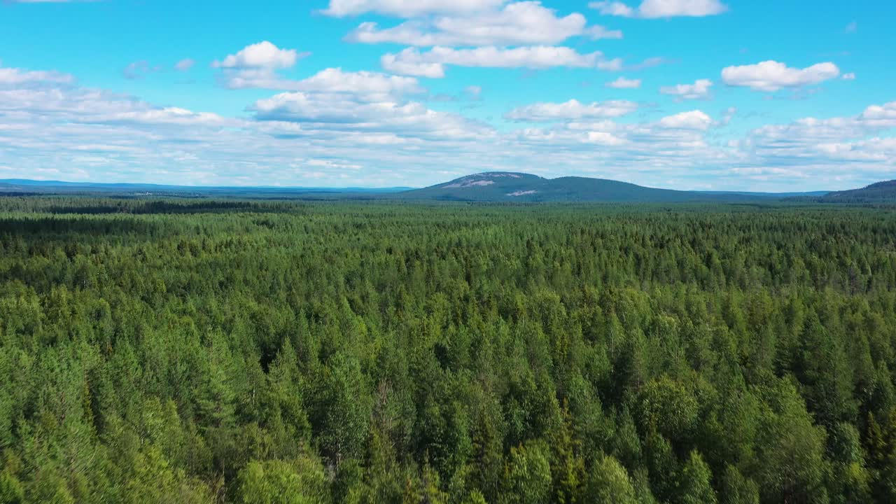 赫圖贾爾維自然保護區 佩爾科塞尼米密集森林 芬蘭空中
