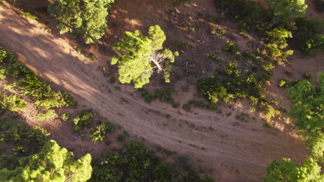 Rückwärtsfliegende-Und-Nach-Oben-Geneigte-Luftaufnahme-In-Der-Sierra-Bermeja,-Spanien