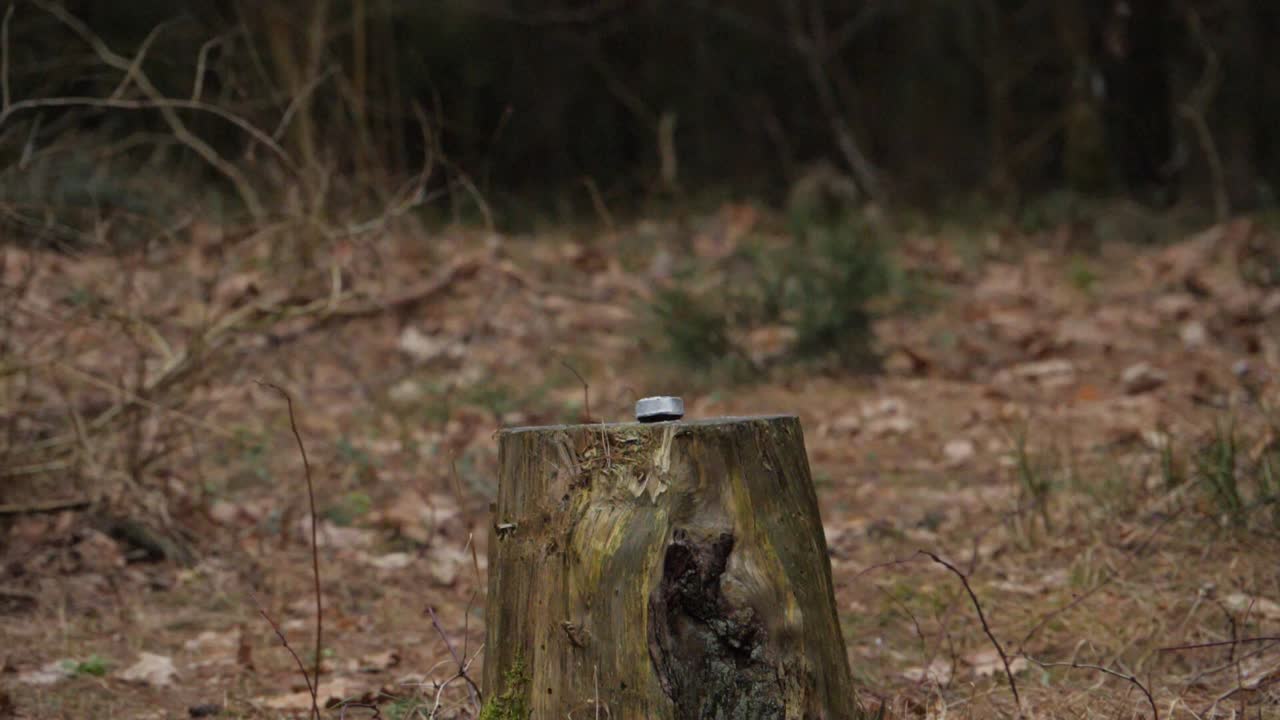 Small petard exploding candle