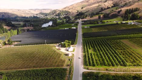 aerial flying over state highway 8 through green fruitlands in teviot valley