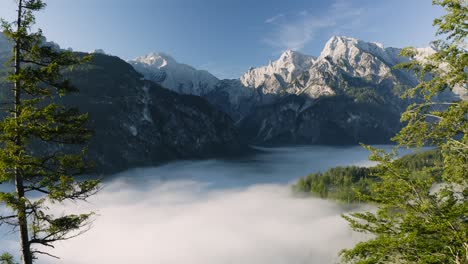 flight through trees over foggy austrian lake - drone