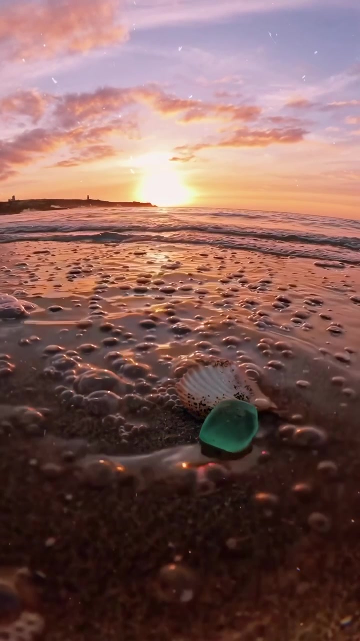 Seashell and Sea Glass on Sandy Beach at Sunset