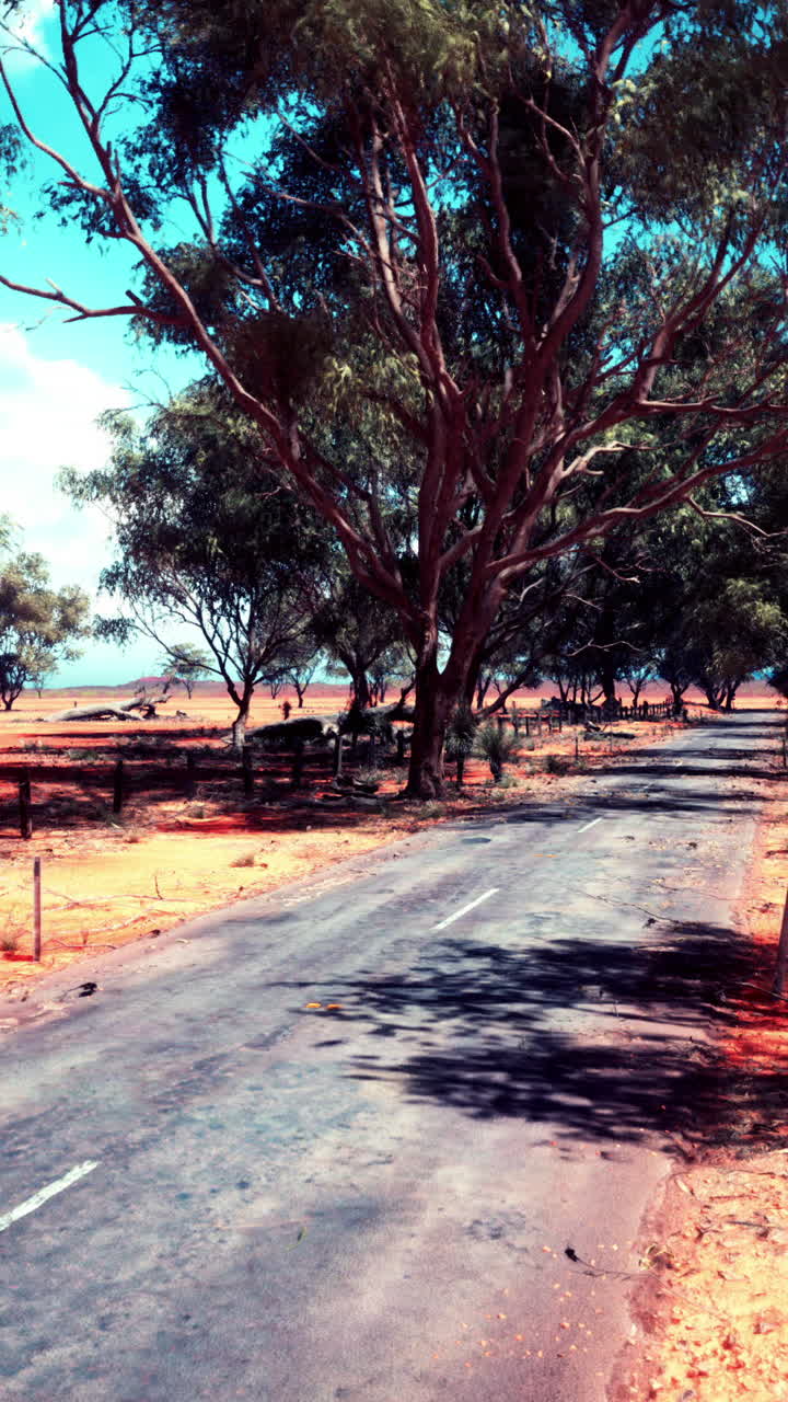 사막 풍경을 가로지르는  빈 길