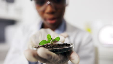 Black-woman,-scientist-and-ecology-with-petri-dish