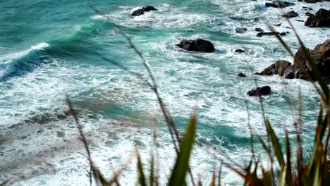 Las-Olas-Del-Océano-Chocan-Contra-La-Hierba-Arrastrada-Por-El-Viento-En-Una-Fascinante-Danza-Costera.