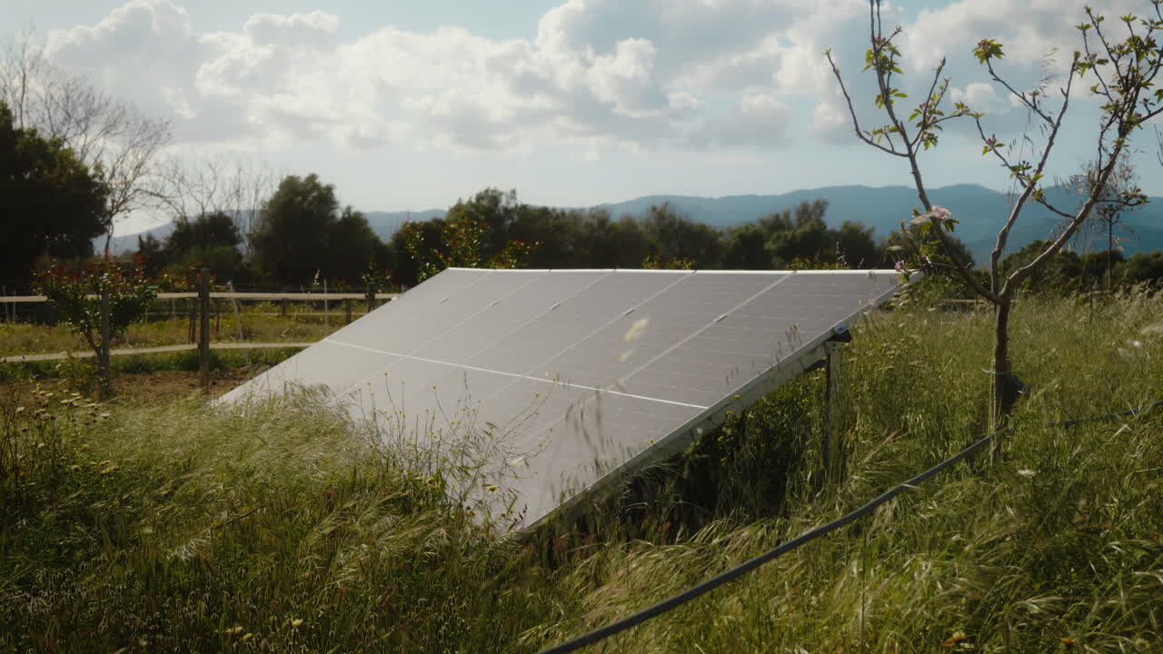 Solar panels in lush green farmland. Perfect for sustainable agriculture videos.