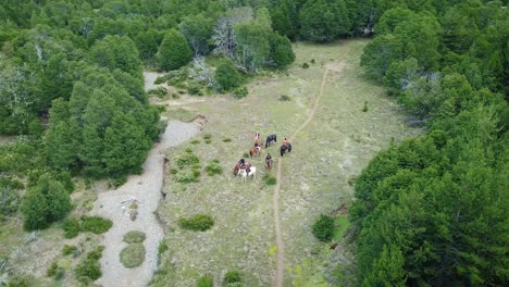 A-group-of-spirited-individuals-as-they-explore-the-beauty-of-nature-on-horseback,-weaving-through-winding-trails-surrounded-by-towering-trees