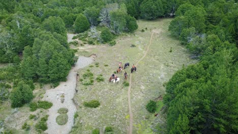 Eine-Gruppe-Temperamentvoller-Individuen,-Die-Die-Schönheit-Der-Natur-Zu-Pferd-Erkunden-Und-Sich-Dabei-Durch-Verschlungene-Pfade-Schlängeln,-Die-Von-Hoch-Aufragenden-Bäumen-Umgeben-Sind