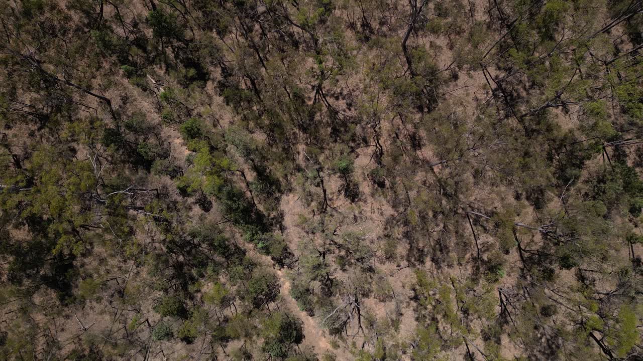 Aerial views over bushland next to the Leichhardt Highway, North of Miles, Queensland, Australia.