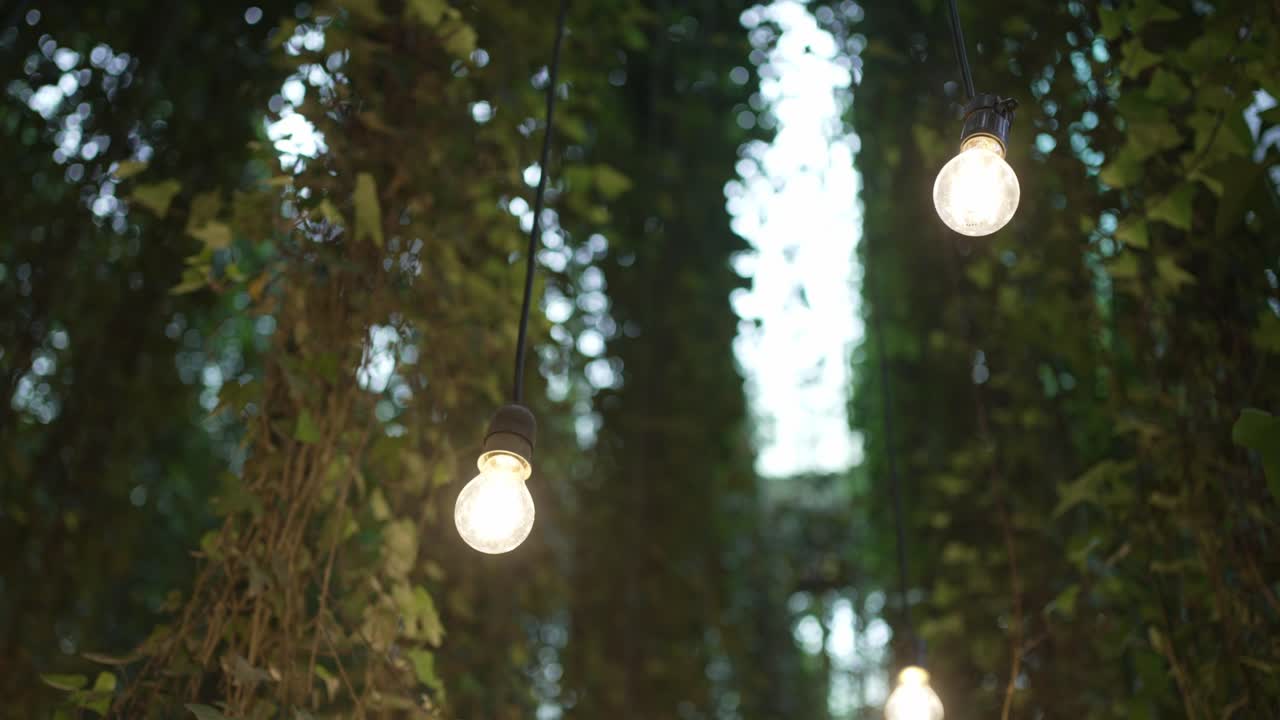 Close up of glowing string lights hanging against a green leafy backdrop
