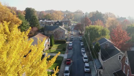 gorgeous yellow maple tree in autumn along quiet narrow neighborhood street