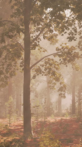 a serene forest scene with fog and sunlight