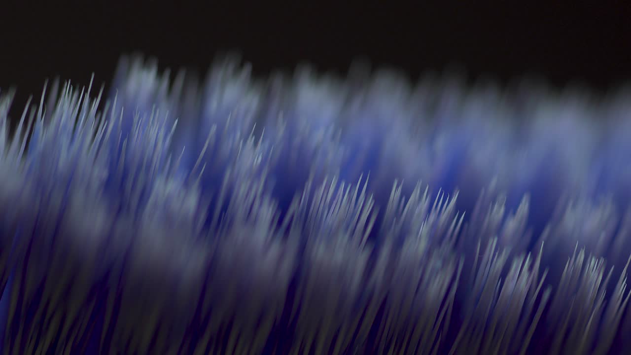 칫솔 파란색과 흰색 격리 매크로의 강모