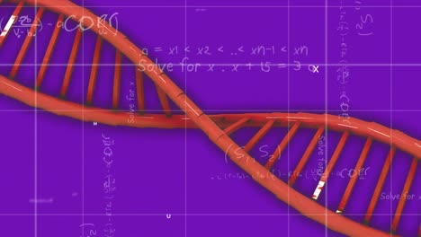 Animation-of-dna-strand-spinning-and-mathematical-data-processing-over-purple-background