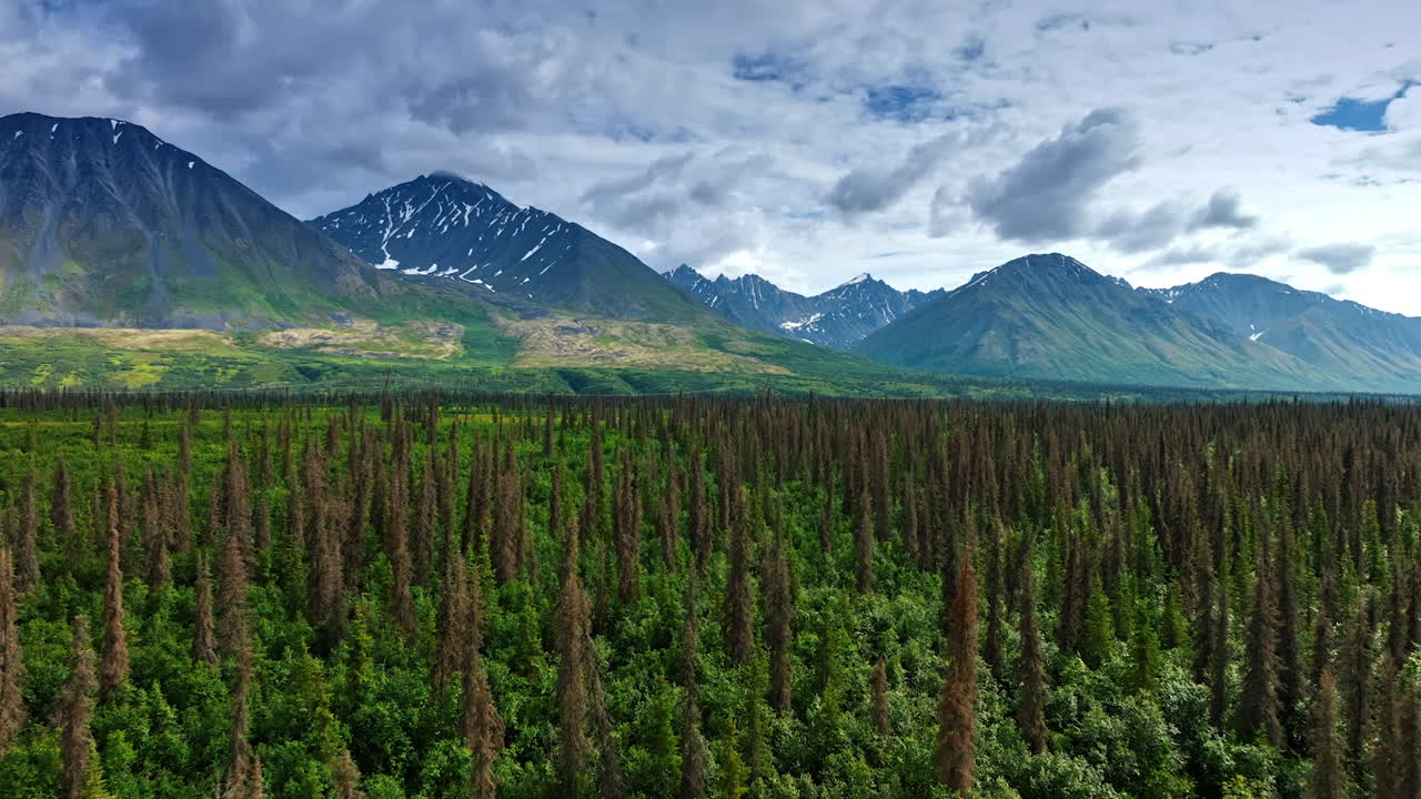 Explore Alaska majestic views. Vast green forests stretch beneath towering mountains in Alaska, creating a breathtaking backdrop for adventure seekers