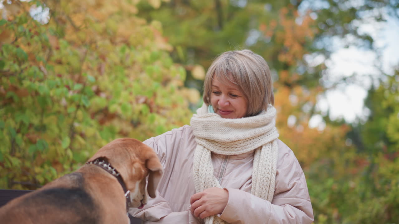 woman in soft pink coat and warm knitted scarf reaches into pocket while beagle watches with attention, sitting together on park bench surrounded by colorful fallen leaves and blurred forest greenery