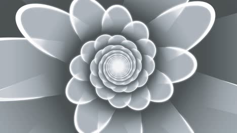 monochrome floral spiral looped animated background