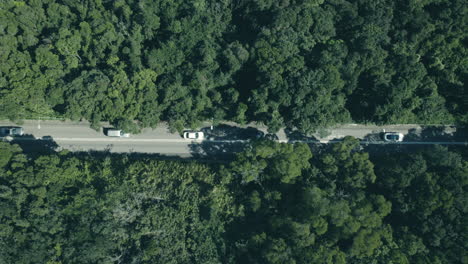 aerial view of cars on a country road in green forest