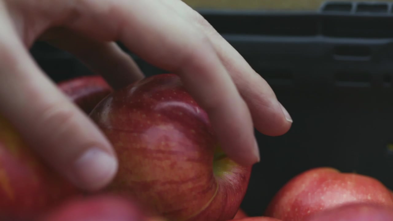Mão masculina caucasiana pegando uma maçã de um banco de alimentos comunitário