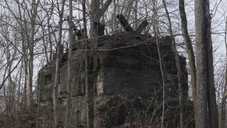 Broken-down-abandoned-hut-with-collapsed-roof-in-autumn-bare-tree-spooky-woodland