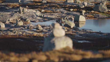 un jardín de meditación en el austero paisaje nórdico