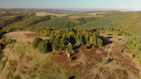 Aerial-pan-shot-of-tree-forest-with-big-stones-inside