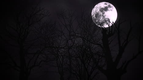 Mystical-animation-halloween-background-with-dark-moon-and-clouds-abstract-backdrop