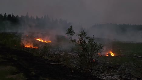 Toma-Aérea-En-Llamas-Del-Bosque-Canadiense-Volando-Sobre-Los-árboles-Restantes-Con-Fuego-En-El-Fondo