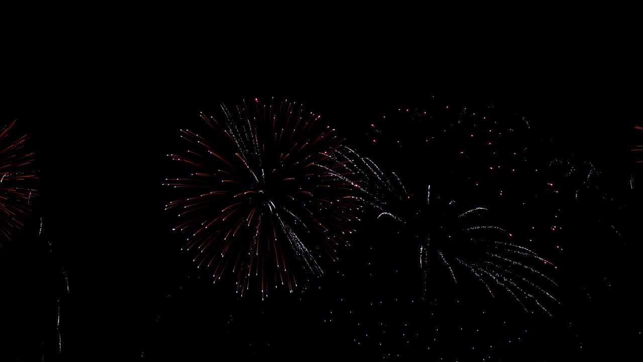 Colorful fireworks exploding in the night sky. Celebrations and events in bright colors.