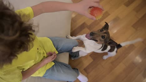 vista superior de un niño rubio con pelo rizado sentado en el sofá mientras juega con su perro mientras sostiene una pelota.