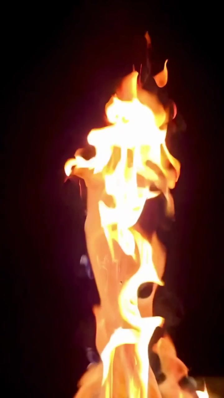 Dynamic Campfire Flames Dancing Against a Dark Background