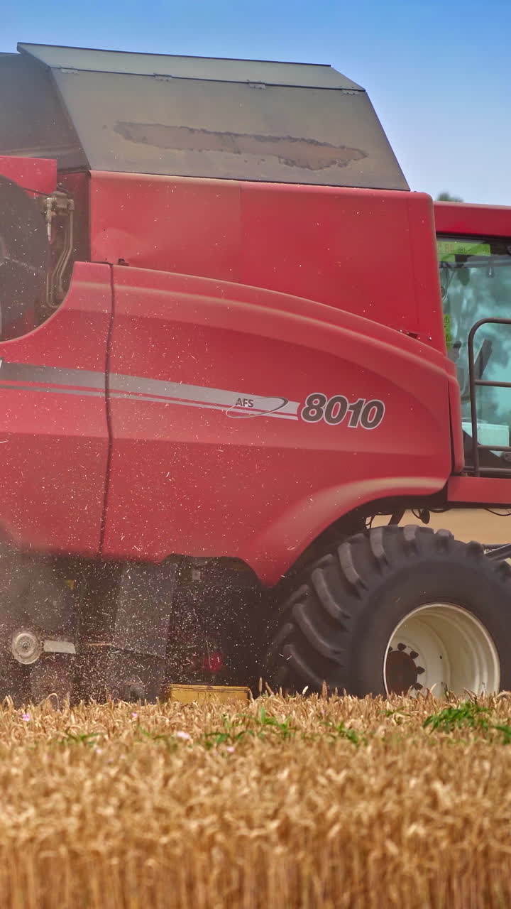 Agicultural combine working in the field. Golden wheat harvesting industry. Vertical video