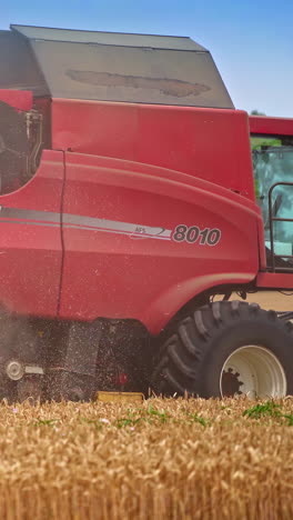 agicultural combine working in the field. golden wheat harvesting industry. vertical video