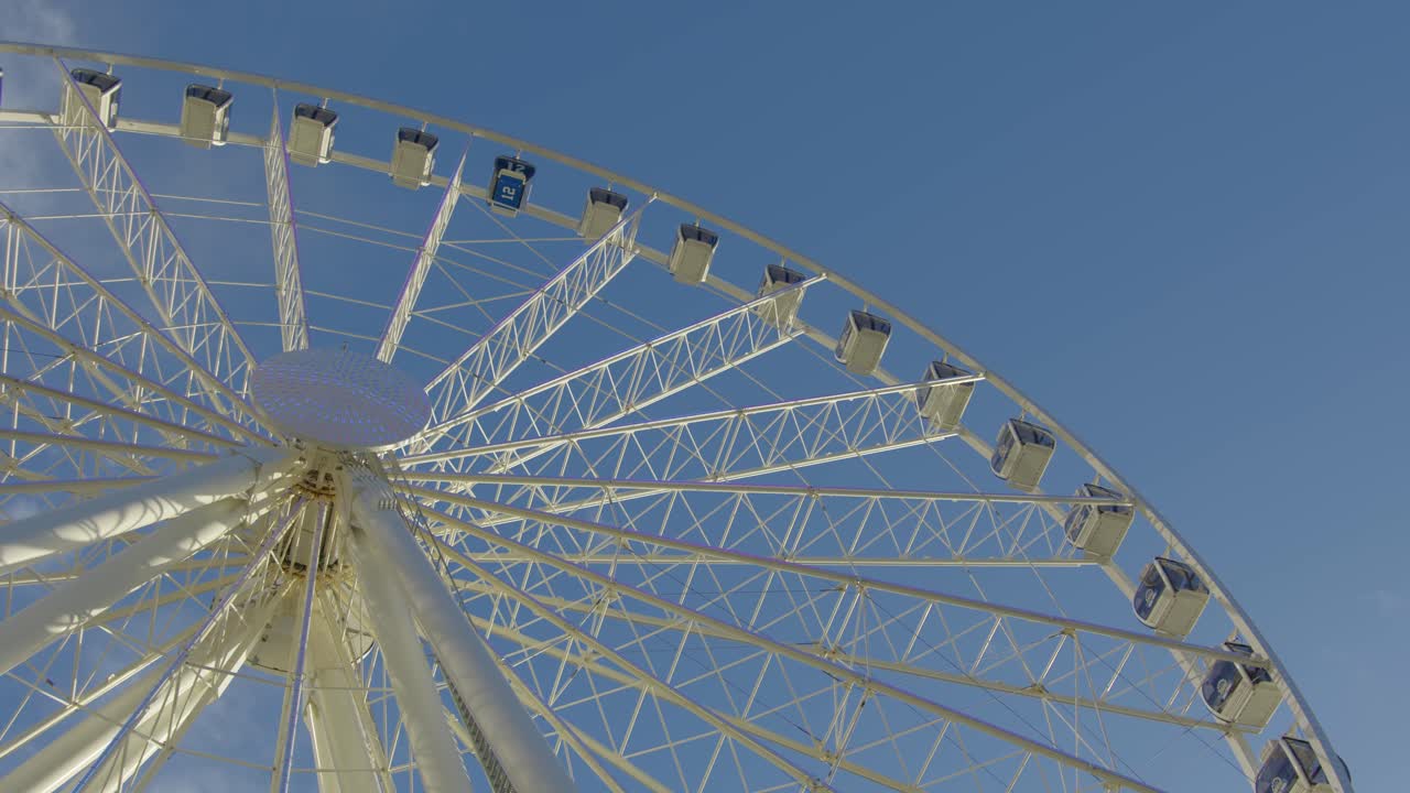 오후에 시애틀 그레이트